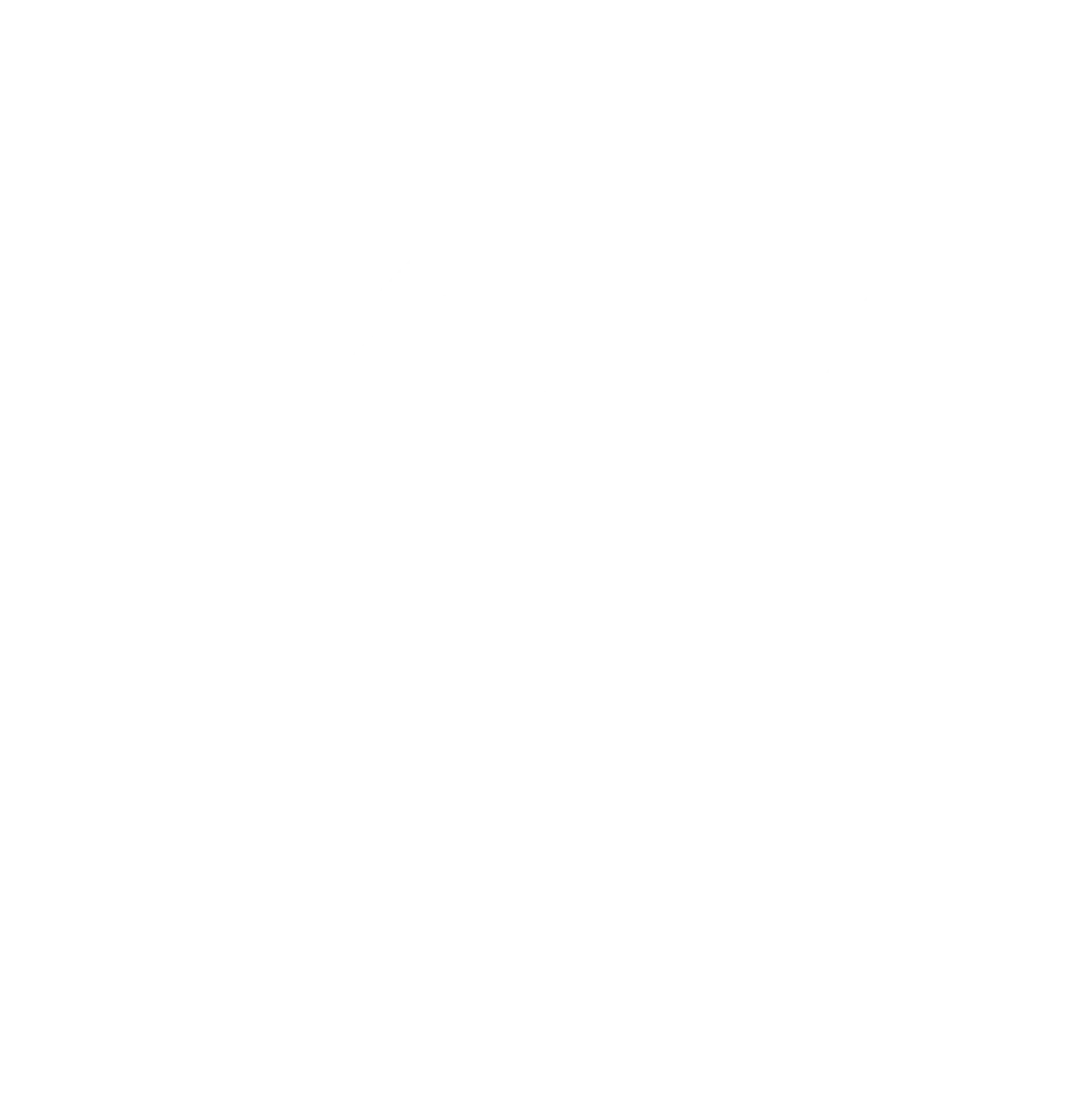 Hawk Brasil